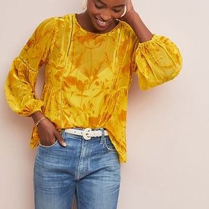 Meadow Rue Velvet Flocked Top Blouse NEW 6 S